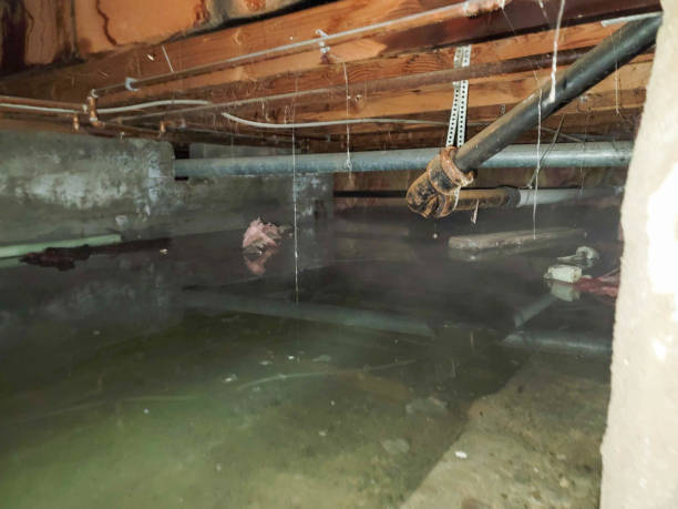 Best Water damage restoration near me  in Johnstown, CO