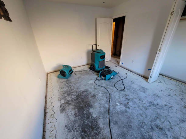 Best Water damage restoration near me  in Johnstown, CO