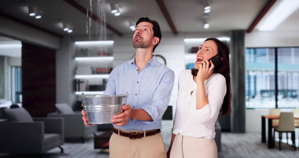 Best Carpet water damage restoration  in Johnstown, CO